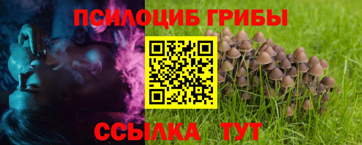 Псилоцибиновые грибы GOLDEN TEACHER  Вход с VPN  где купить наркоту  Мытищи  Галлюциногенные грибы ЛСД 