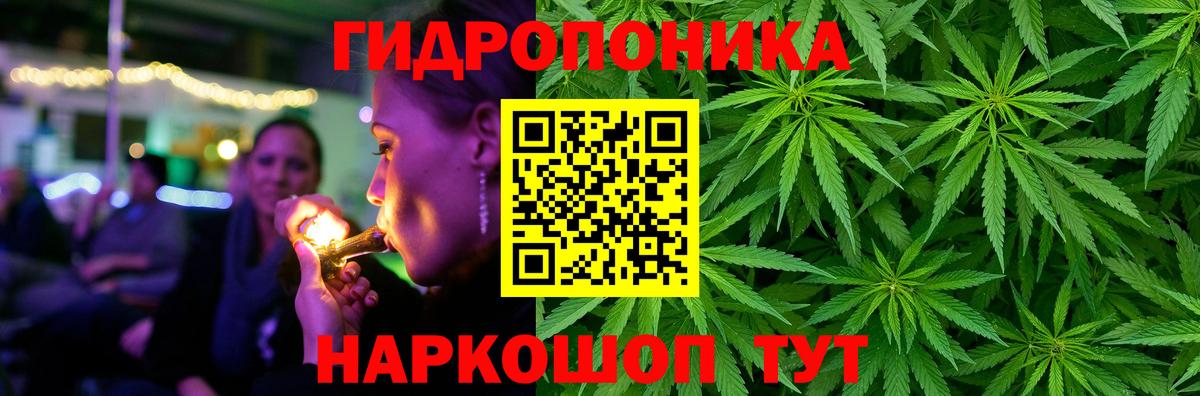 Бошки Шишки SATIVA & INDICA  Бошки марихуана SATIVA & INDICA  Каннабис VHQ  Марихуана сатива  Вход с VPN  Мытищи 